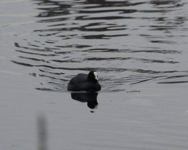 mettlach_07_034