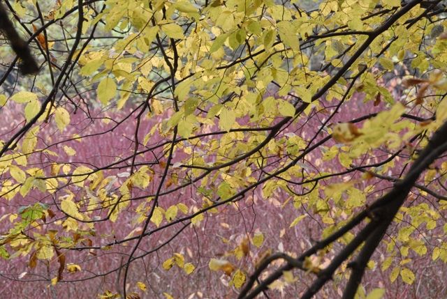 mettlach_07_047