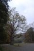 th_mettlach_07_036