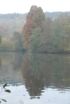 th_mettlach_07_040