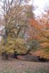 th_mettlach_07_069