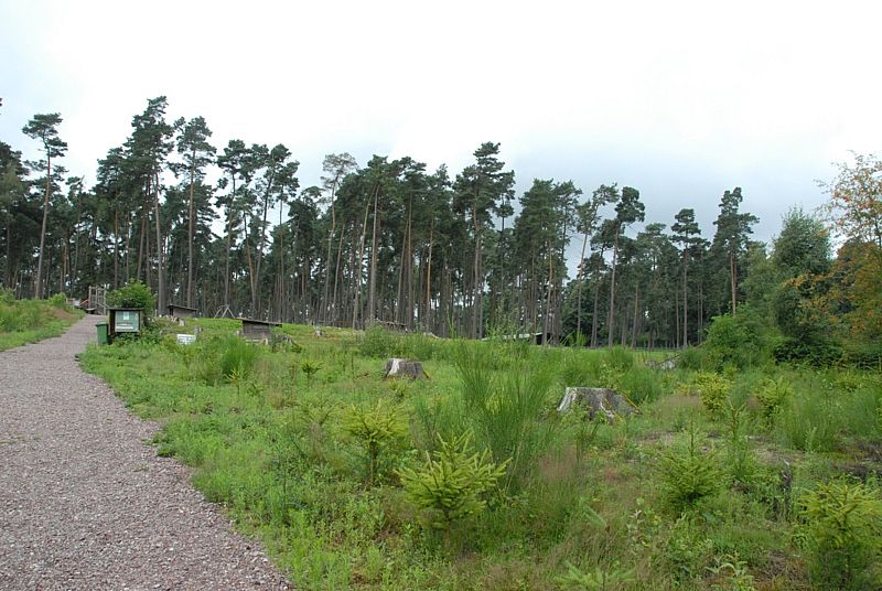 09-07-19_Granat_003.jpg