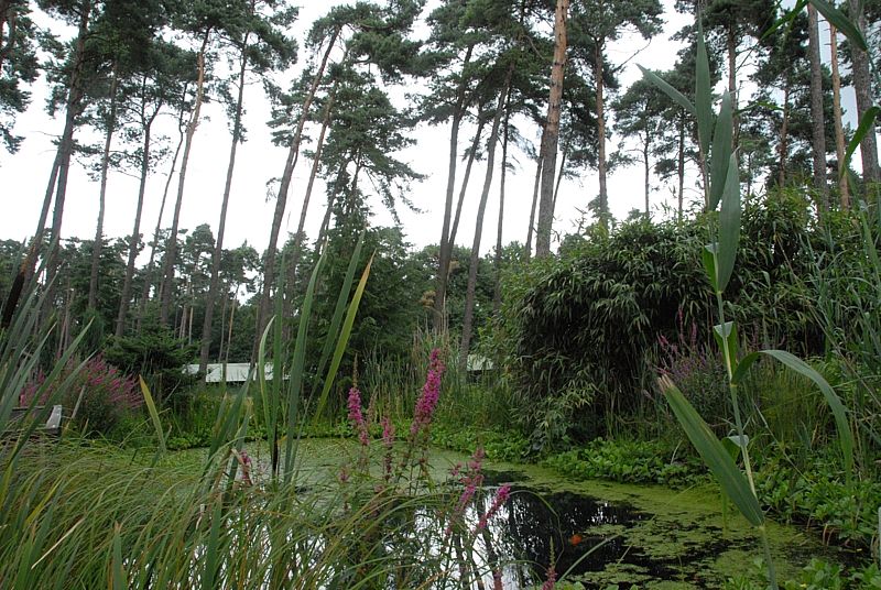 09-07-19_Granat_089.jpg
