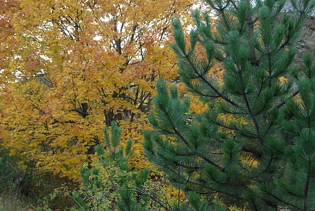 08-10-04_Geoversum-3_024.jpg