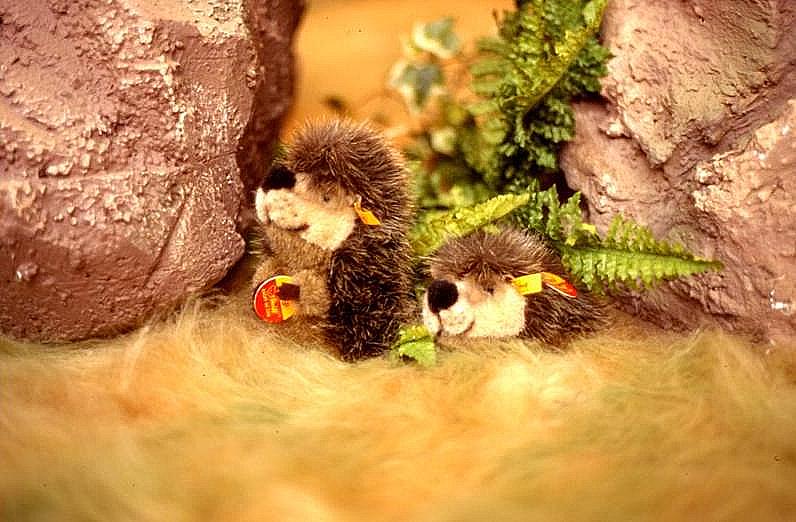 steiff17