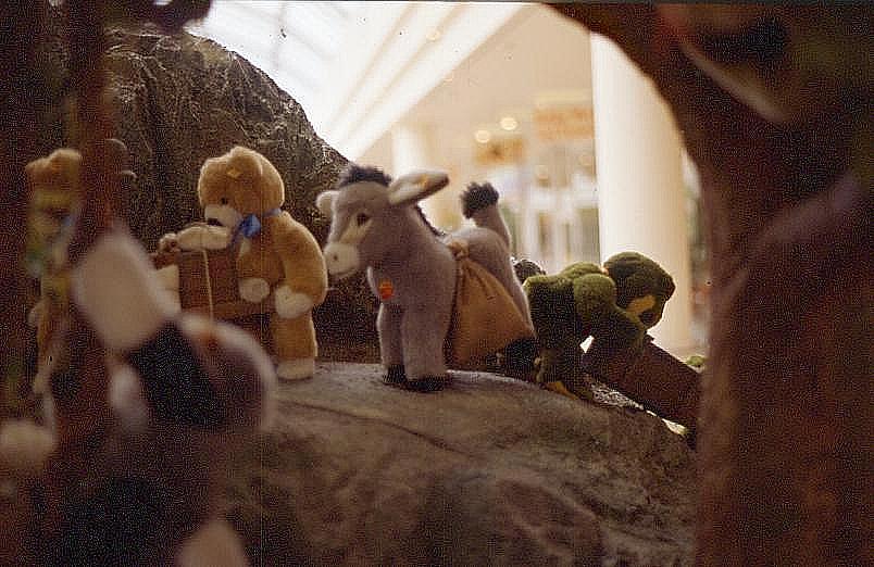 steiff42