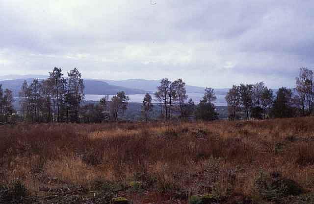 whw00027