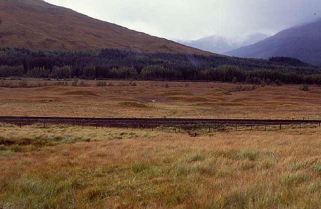 whw00151
