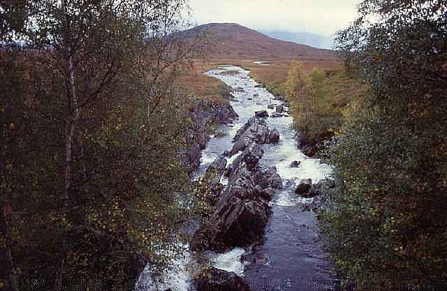 whw00181