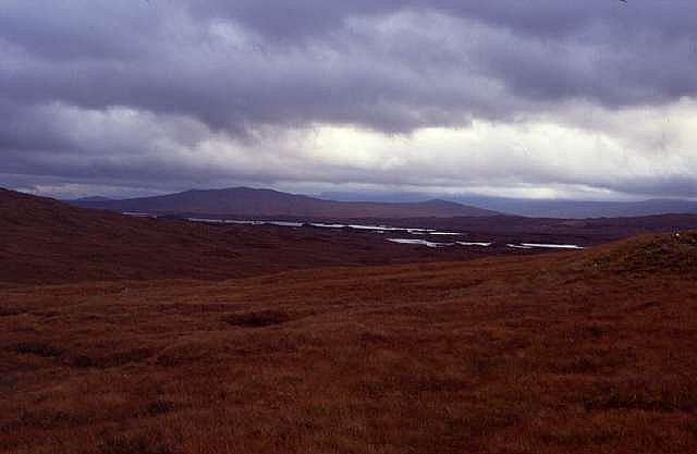 whw00186
