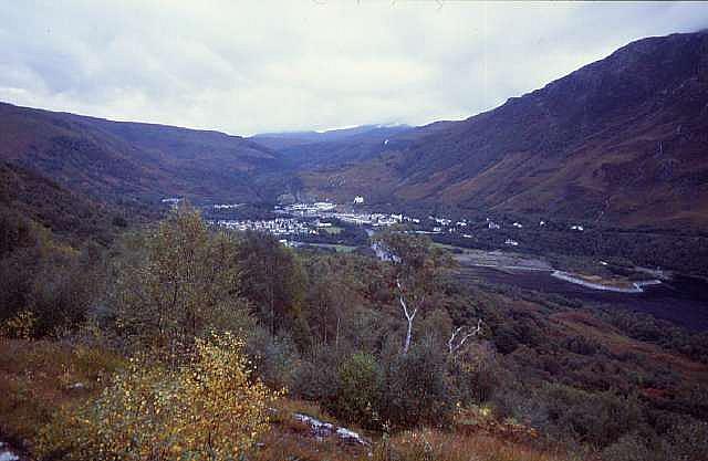 whw00225