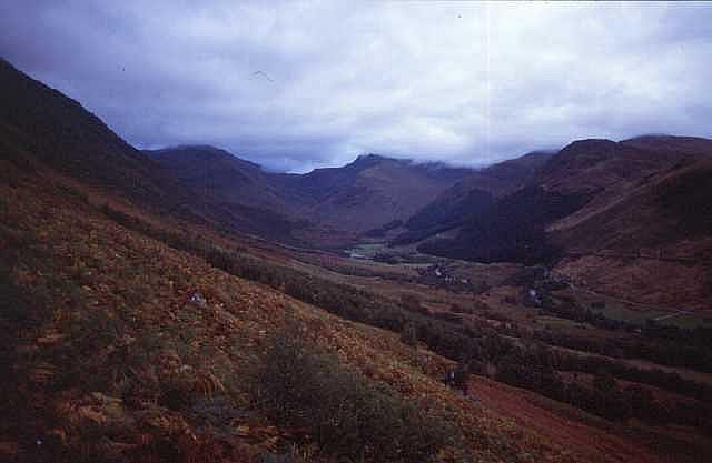 whw00245