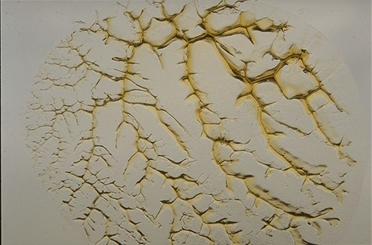 Oel gepresst zwischen 2 Glasplatten