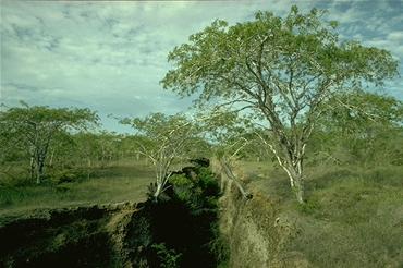 Spalte links des Weges