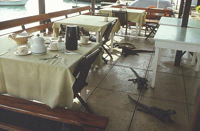 Meerechsen auf der Terrasse des Hotels Sol y Mar