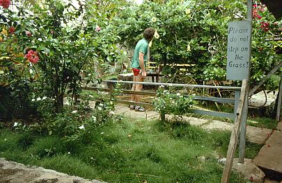 Garten von Frau Angermeyer