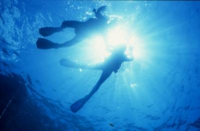 Abenteuer Tauchen im klaren Wasser der Iles d'Hyères