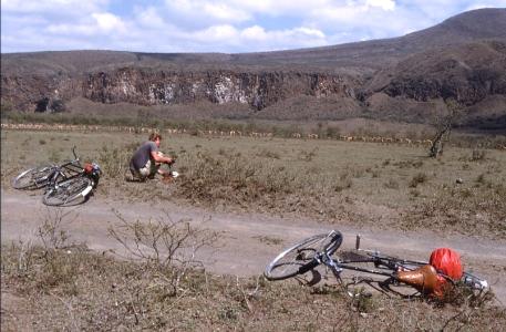 Pause, Kongoni-Herde