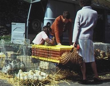 Markt in Chalmazel