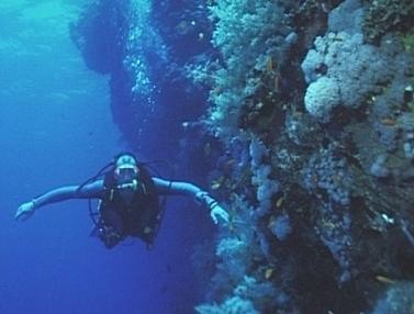 Dirk schwebt das Riff entlang . . .