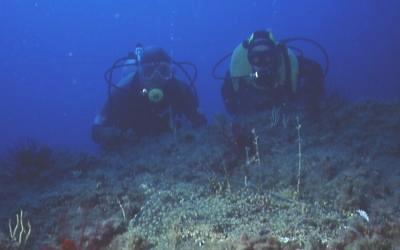 Taucher hinter Großem Seeteufel