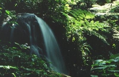 kleiner Wasserfall